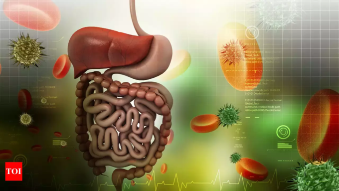 Do you know what changes happen in the body if you chew food 32 times?  Must know!-oneindia news