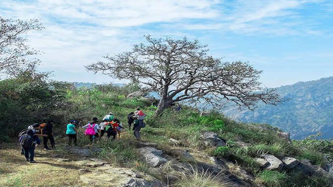 Are you ready to go trekking in Salem Yercaud?  Then do it right away!-oneindia news