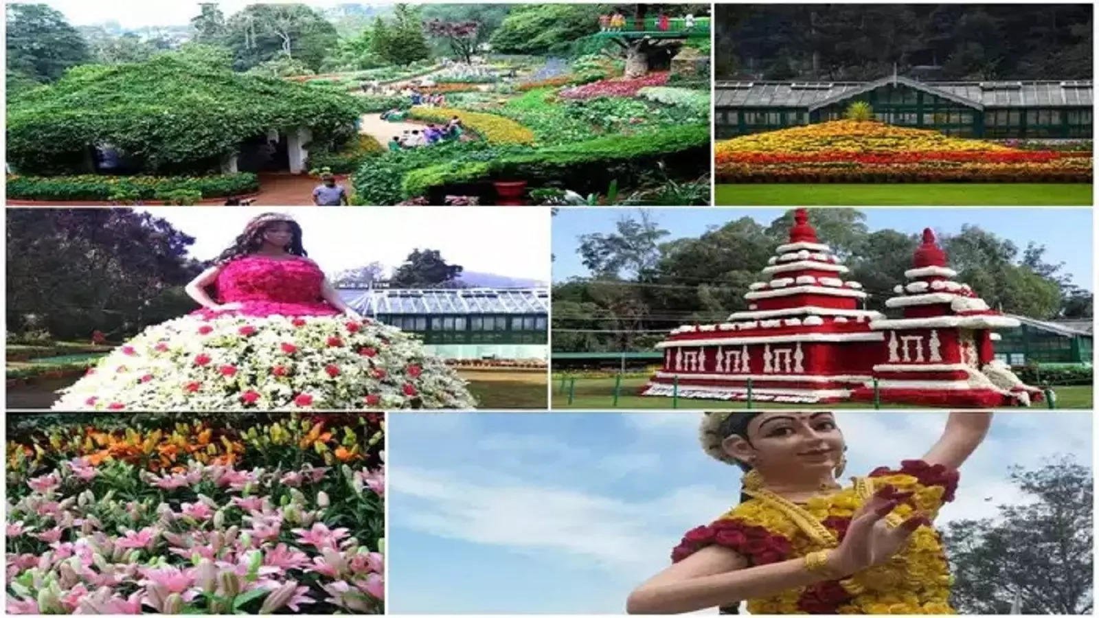 Ooty Flower Show, Ooty Botanical Garden Flower Show ends today!  - Ooty botanical garden flower show ends today-oneindia news