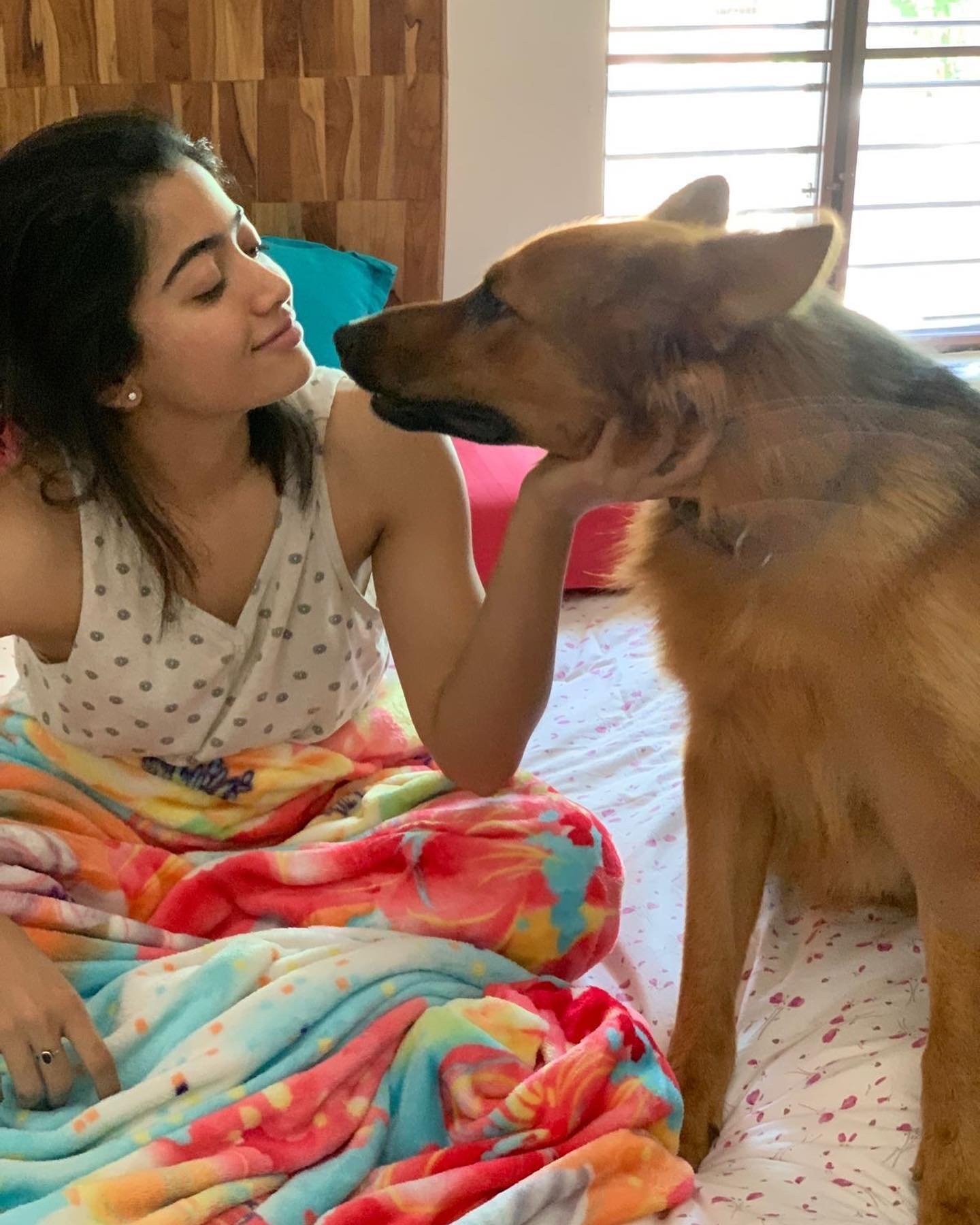 Make a male friend sit on your chest and lip lock..!  Rashmika Mandana pose on the floor..!-oneindia news