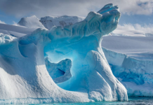 Best Tourist Spots In Antartica Do any of us know that there are places to visit in Antarctica?  - best places to visit in antartica-oneindia news