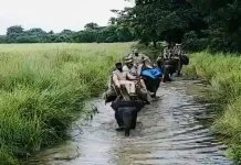 Foresters patrolling on elephants during monsoons: Viral video-oneindia news