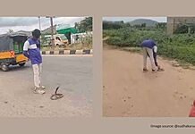 In Andhra, youth admitted to hospital for playing with snake under the influence of alcohol;  Viral video-oneindia news