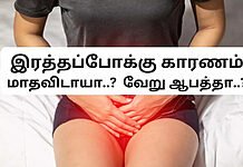 Samayam Tamil - Tamil News