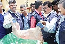 Box by box... 1,600 kg of rotten mutton arrived by train to Chennai seized; Food safety department in action-oneindia news